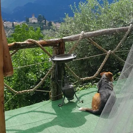 Luxury tent La Fatina *